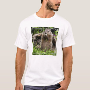 T-shirt Marmotte mâchonnant une fleur