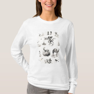 T-shirt Marquez avec des lettres D d'une amorce