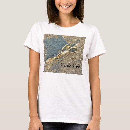 T-shirt Massachusetts Cape Cod - Shell & Surf (Devant)