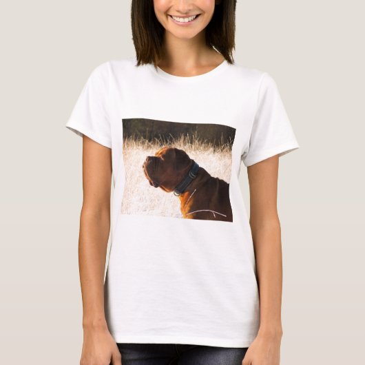 T-shirt Mastiff (Devant)