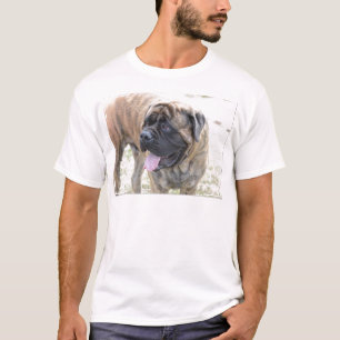 T-shirt Mastiff doux