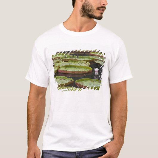 T-shirt Maurice, Pamplemousses, SSR Botanique (Devant)