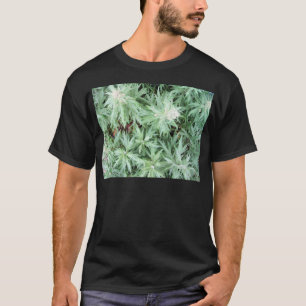 T-shirt mauvaise herbe de puanteur