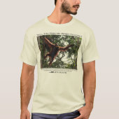 T-shirt Me manqueras-tu ? Orangutans 2 (Devant)