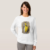 T-shirt Meadowlark occidental (Strunella négligecta) (Devant entier)