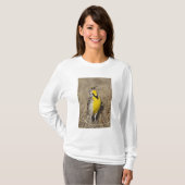 T-shirt Meadowlark occidental (Strunella négligecta) (Devant entier)