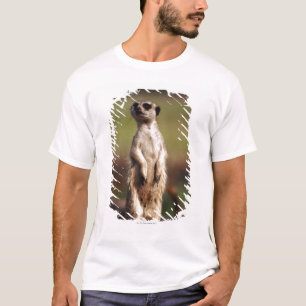 T-shirt meerkat mince-coupé la queue
