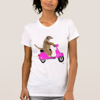Meerkat sur Pink Moped