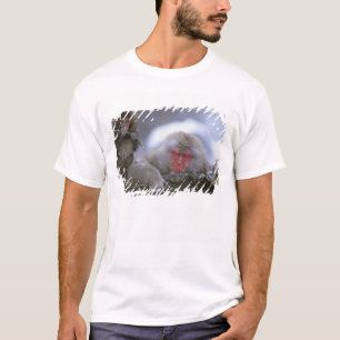 T-shirt Mère et enfant singe des neiges, Jigokudani, Nagan