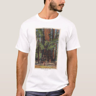 T-shirt "Mère" et "fille" au grand parc d'arbres