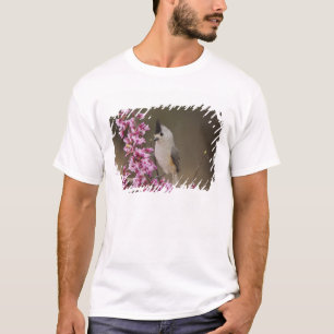 T-shirt Mésange à crête noire, Baeolophus