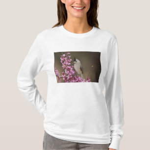 T-shirt Mésange à crête noire, Baeolophus