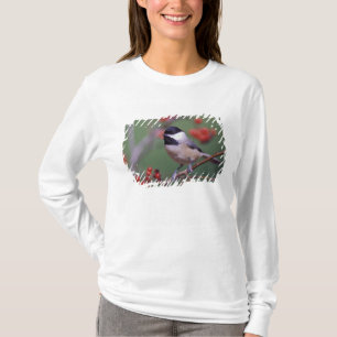 T-shirt Mésange de Caroline