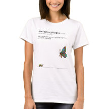 Métamorphose - chenille à papillon