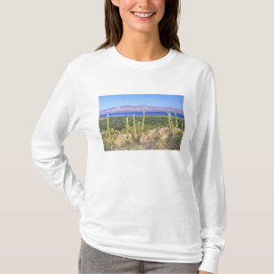 T-shirt Mexique, Basse-Californie du Sud, Cardon Cactus à