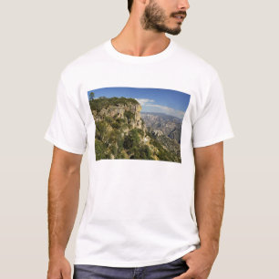 T-shirt Mexique, État de Chihuahua, Copper Canyon. CECI
