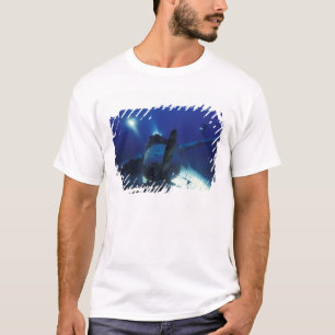 T-shirt Micronésie, Palaos, Site du patrimoine mondial. Pl