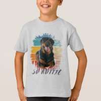 Mignon Vintage Rottie Rottweiler Chien Animal Anim