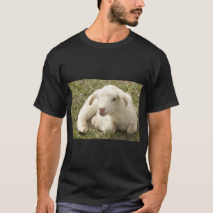 T-shirt Mignonne mouton de ferme
