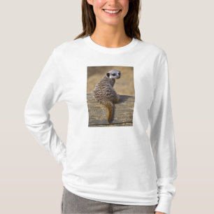 T-shirt Mini Kat Tee
