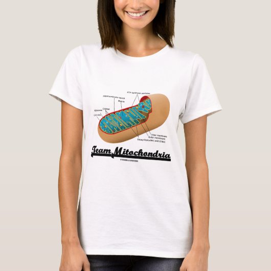T-shirt Mitochondries d'équipe (humour de mitochondrie) (Devant)