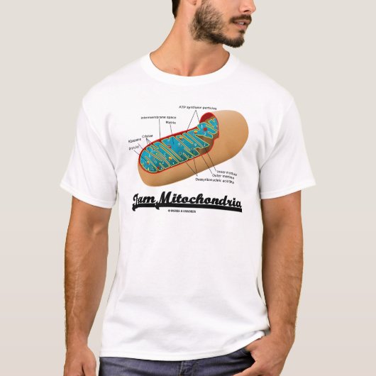 T-shirt Mitochondries d'équipe (humour de mitochondrie) (Devant)