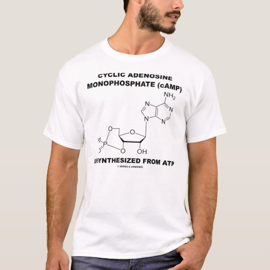 T-shirt Monophosphate d'adénosine cyclique (cAMP) (Devant)
