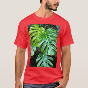 T-shirt Monstera Plante à l'Aquarium du Tennessee