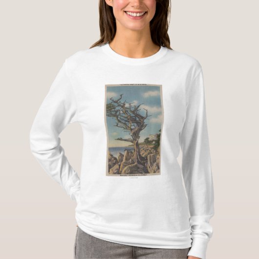 T-shirt Monterey, CA - vieil arbre de sorcière sur 17 (Devant)