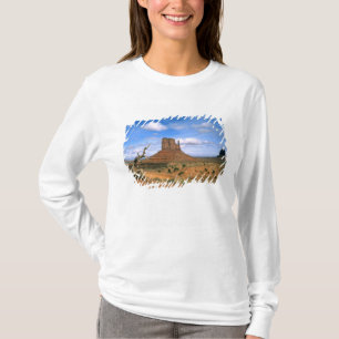 T-shirt Monument Valley coloré de mitaines en Utah USA