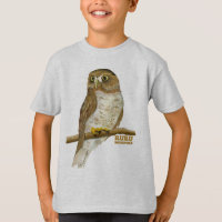Morepork Ruru Oiseau de Nouvelle-Zélande
