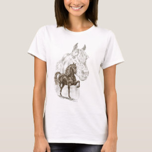 T-shirt Morgan Horse Art
