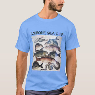 T-SHIRT MOSAÏQUES ROMAINES ANTIQUES, POISSONS, ESPACE DE 