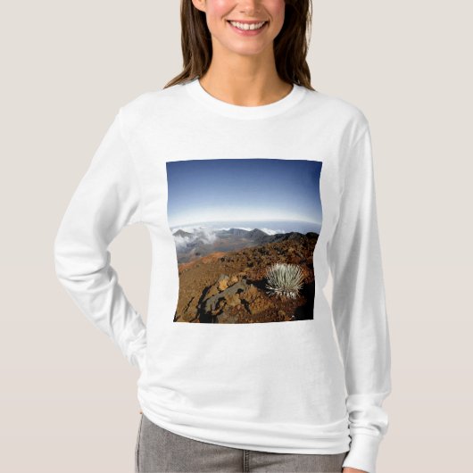 T-shirt Mot d'argent sur la rime du cratère de Haleakala d (Devant)