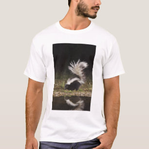 T-shirt Mouffette rayée, Mephitis mephitis