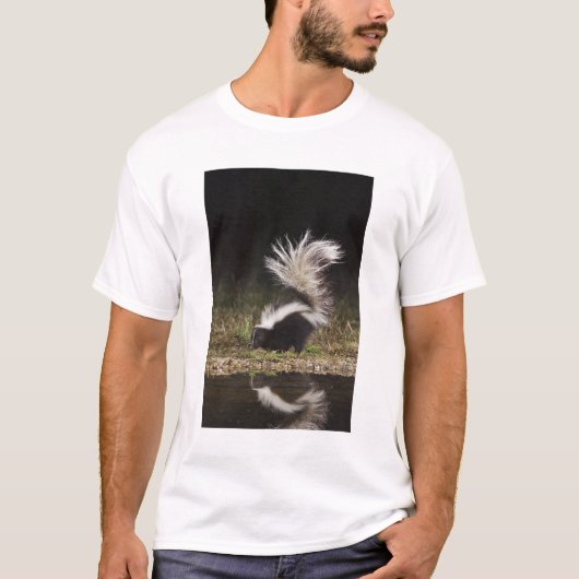 T-shirt Mouffette rayée, Mephitis mephitis (Devant)