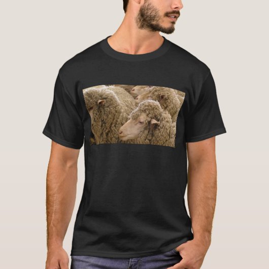 T-shirt Moutons de Merino (Devant)