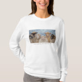 T-shirt Moutons drôles (Devant)