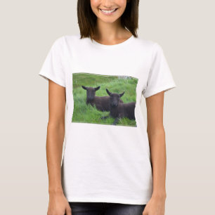 T-shirt Moutons noirs
