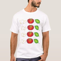 Mozzarella Tomato Basil Italie Cuisine alimentaire