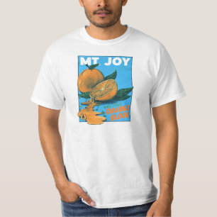 T-shirt mt joy merch