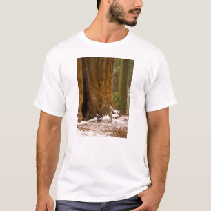T-shirt Mule Deer