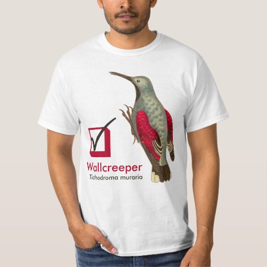 T-shirt Muraria de Tichodroma de Wallcreeper sur mon (Devant)