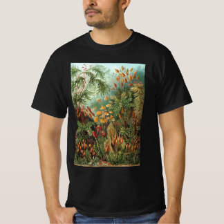 T-shirt Muscinae vintage, plantes de mousse par Ernst Haec
