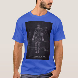 T-shirt Muscle antérieur Anatomie humaine Plan directeur A