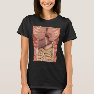 T-shirt Muscles humains Organes Effrayant Enseignant Anato