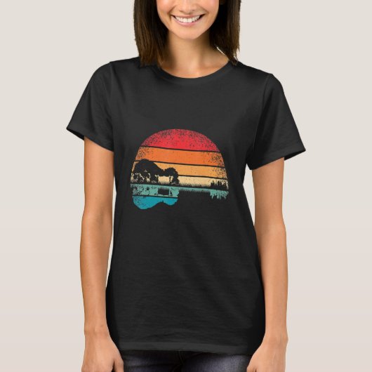 T-shirt Musique guitariste Retro Guitar Lake Sunset (Devant)