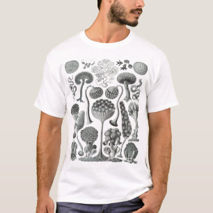 T-shirt Mycetozoa - Kunstformen der Natur (1904) par Ernst