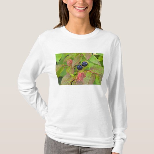 T-shirt Myrtille mûre dans le Flathead National (Devant)
