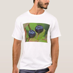 T-shirt Myrtille mûre dans le Flathead National 2